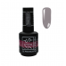 SIS Premium gelinis lakas nr.39, 10ml