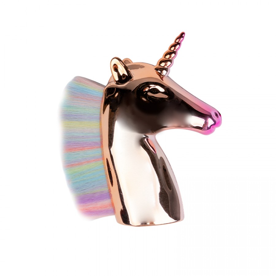 Šepetėlis dulkėms valyti UNICORN